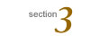 Section 3
